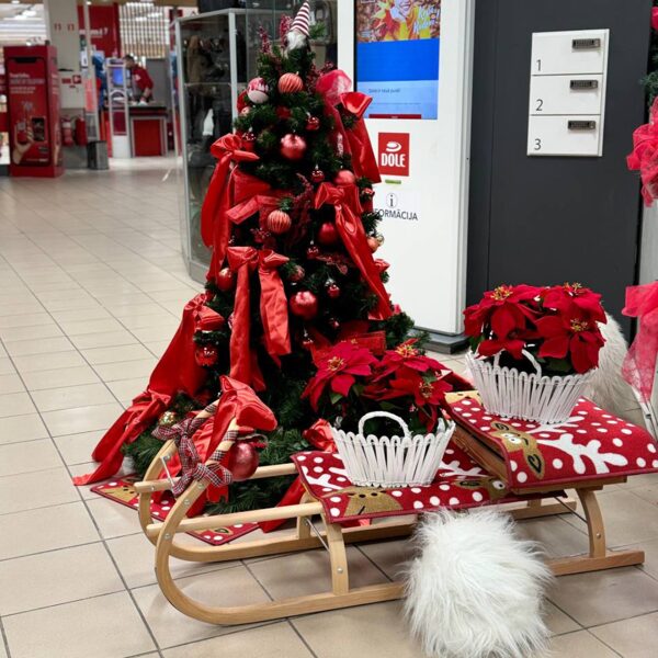 T/C Dole Christmas Decorations 2024