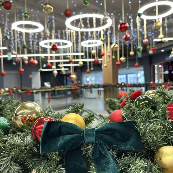 T/C Dole Christmas Decorations 2025