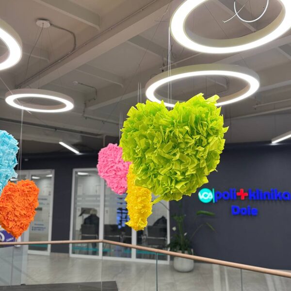 Valentine’s Day & Spring Decorations 2025